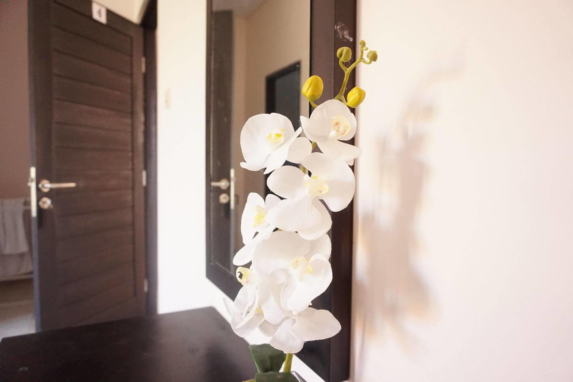 Cameng Homestay دنباسار المظهر الخارجي الصورة